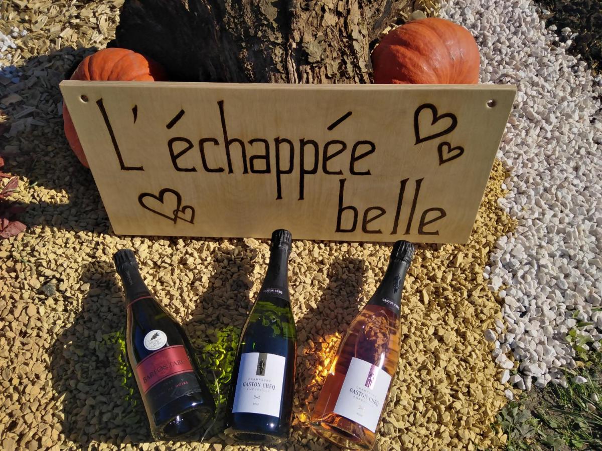 Villa l'échappée belle en Champagne Spoy  Exterior foto