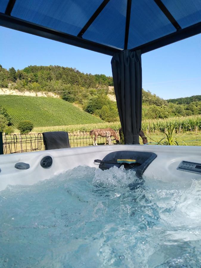 Villa l'échappée belle en Champagne Spoy  Exterior foto